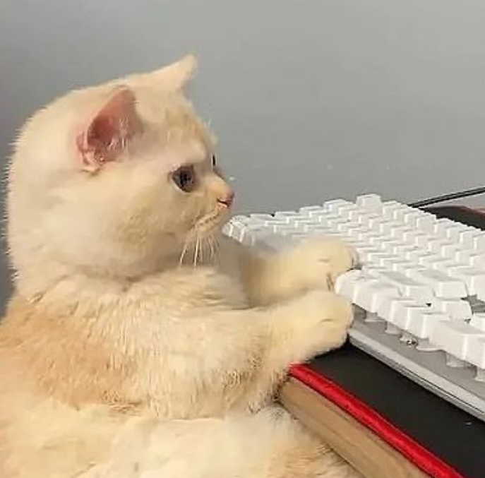 a cat working, he is enjoying his new mechanical keyboard