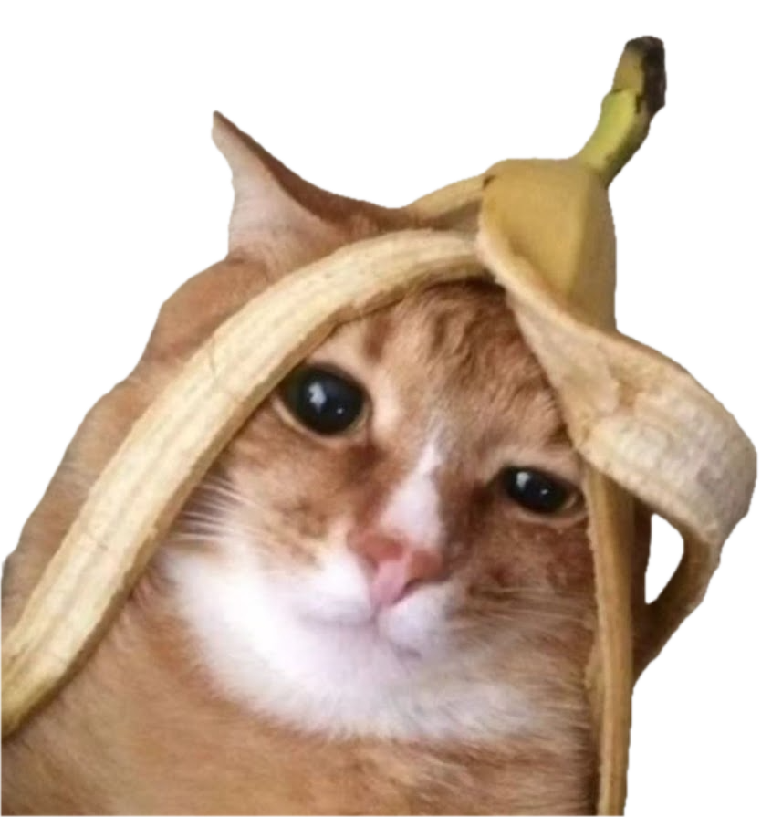 a silly cat with a banana on its head