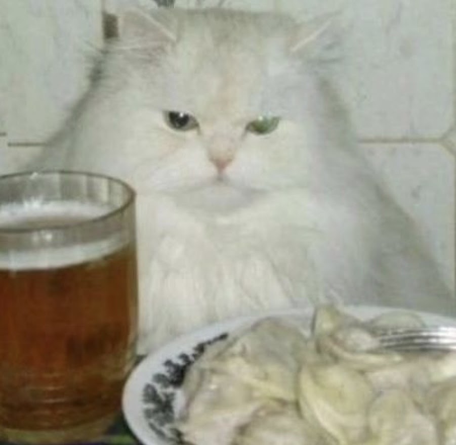 a cat with a beer and dumplings