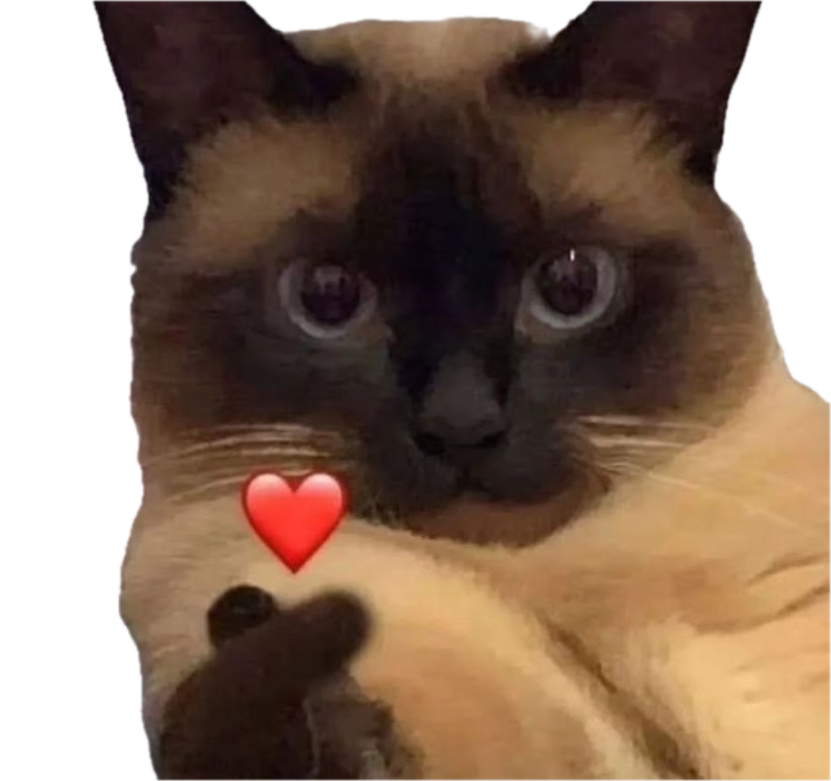 a cat with a korean finger heart